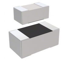 RC1005F3740CS
